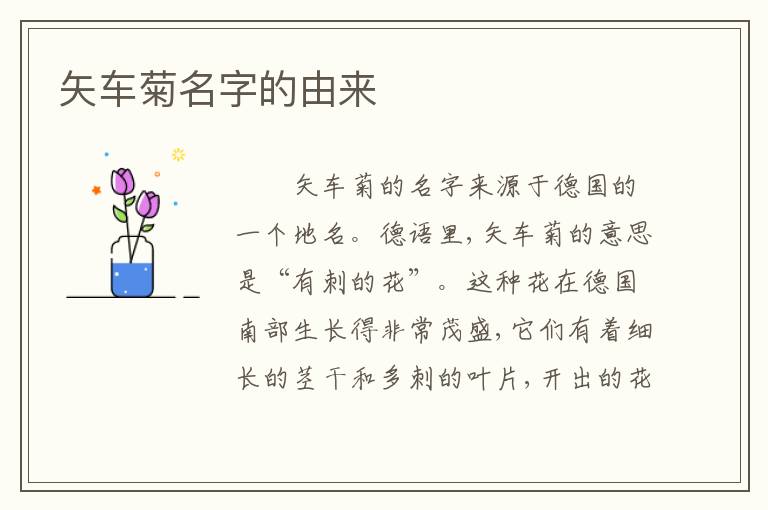 矢车菊名字的由来
